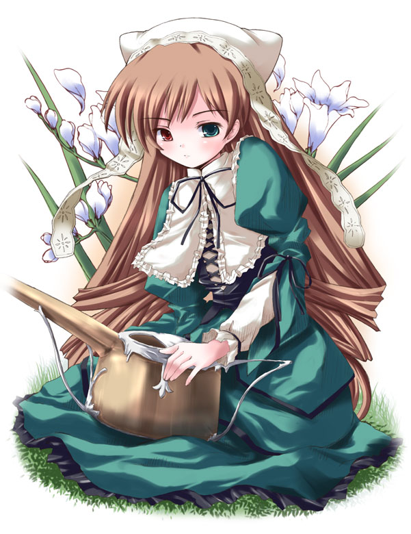shinshin, suiseiseki, rozen maiden, 00s, 1girl, brown hair, dress, female focus, flower, freesia (flower), green eyes, hat, headscarf, heterochromia, long hair, red eyes, ribbon, solo, very long hair, watering can, white headscarf