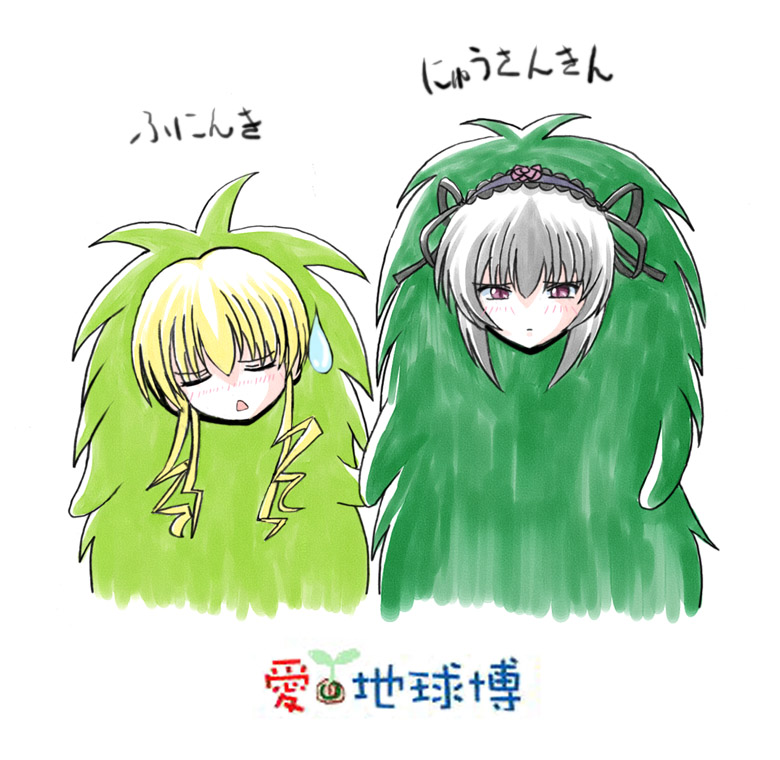 shinku, suigintou, rozen maiden, 00s, 2girls, blonde hair, blush, costume, multiple girls, sweatdrop