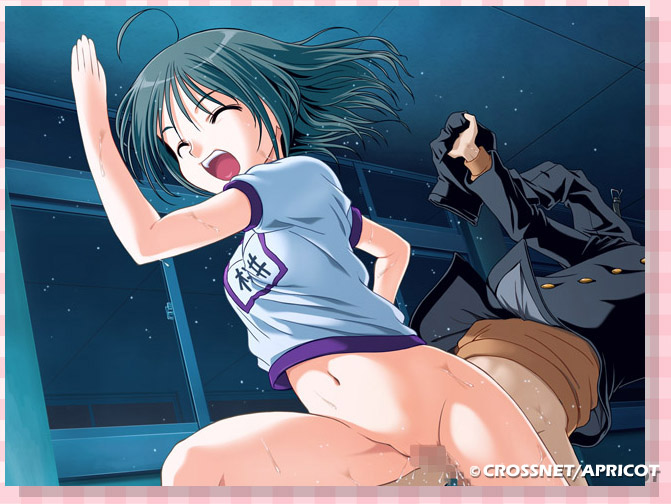 toma (asagayatei), sakurai makoto (maple colors), maple colors, maple colors h, game cg, 00s, 1girl, ahoge, bottomless, censored, closed eyes, dark, grey hair, gym uniform, happy, hetero, mosaic censoring, penis, pussy, running, sex, solo focus, sweat, vaginal, what