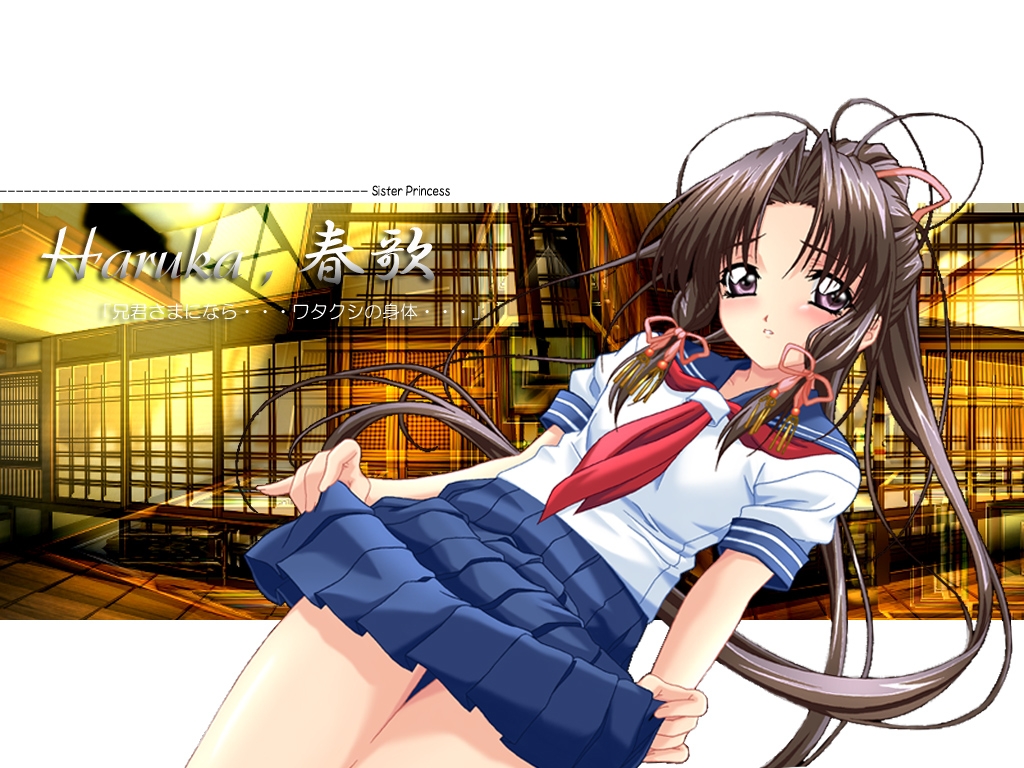 nagayori, haruka (sister princess), sister princess, 00s, 1girl, clothes lift, female focus, pleated skirt, school uniform, serafuku, skirt, skirt lift, solo