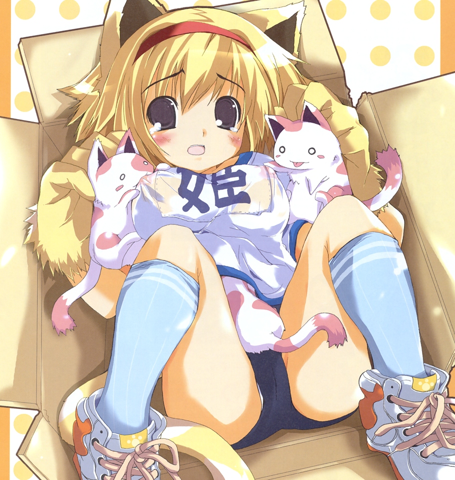 oshiki hitoshi, dengeki hime, 1girl, animal, animal ears, animal hands, blonde hair, box, breast sucking, breast sucking through clothes, breastfeeding, breasts, buruma, cameltoe, cardboard box, cat, cat ears, covered erect nipples, female focus, gym uniform, hairband, in box, in container, medium breasts, shirt, short hair, socks, solo, through clothes, wet, wet clothes, wet shirt
