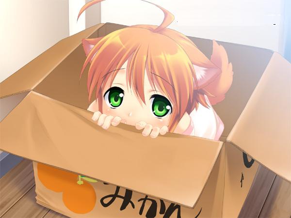 mizuki kotora, mikan (wanko), wanko to kurasou, game cg, jpeg artifacts, resized, 1girl, ahoge, animal ears, box, cardboard box, child, dog ears, dog tail, female focus, for adoption, green eyes, in box, in container, mikan box, orange hair, petto, solo, tail