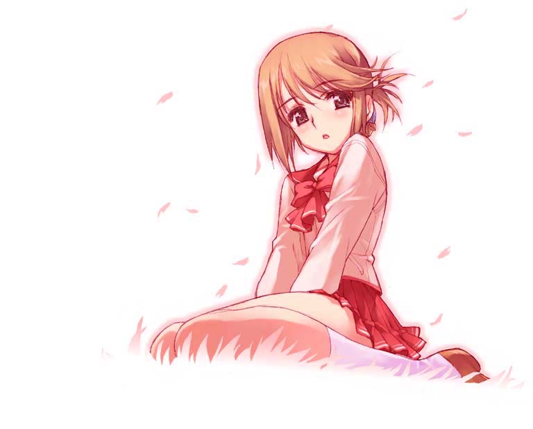 komaki manaka, to heart (series), to heart 2, 00s, 1girl, cherry blossoms, female focus, folded ponytail, grass, kneeling, leaf, sitting, solo, wariza
