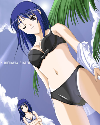kurusugawa ayaka, kurusugawa serika, to heart, to heart (series), lowres, 2girls, bikini, day, multiple girls, one eye closed, siblings, sisters, swimsuit, twins, wink
