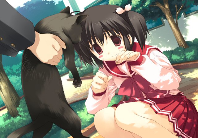 mitsumi misato, yuzuhara konomi, to heart (series), to heart 2, game cg, 00s, 1boy, 1girl, animal, ascot, black hair, blush stickers, building, bush, cat, day, empty eyes, hair ribbon, holding, long sleeves, outdoors, ribbon, school uniform, skirt, solo focus, sweatdrop, tree, twintails, two side up, whiskers