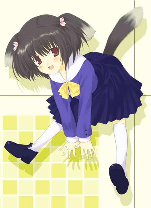 yuzuhara konomi, to heart (series), to heart 2, 00s, 1girl, black hair, blue shirt, blue skirt, blush, cat tail, female focus, kneehighs, leaning forward, long sleeves, looking at viewer, red eyes, shirt, shoes, skirt, socks, solo, tail, thighhighs, two side up, white socks