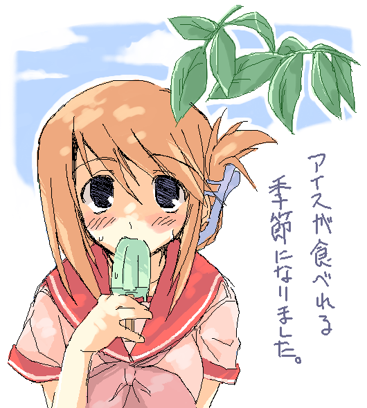 komaki manaka, to heart (series), to heart 2, 00s, 1girl, blue eyes, blush, brown hair, female focus, folded ponytail, food, ice cream, leaf, looking at viewer, popsicle, sailor collar, school uniform, solo, upper body