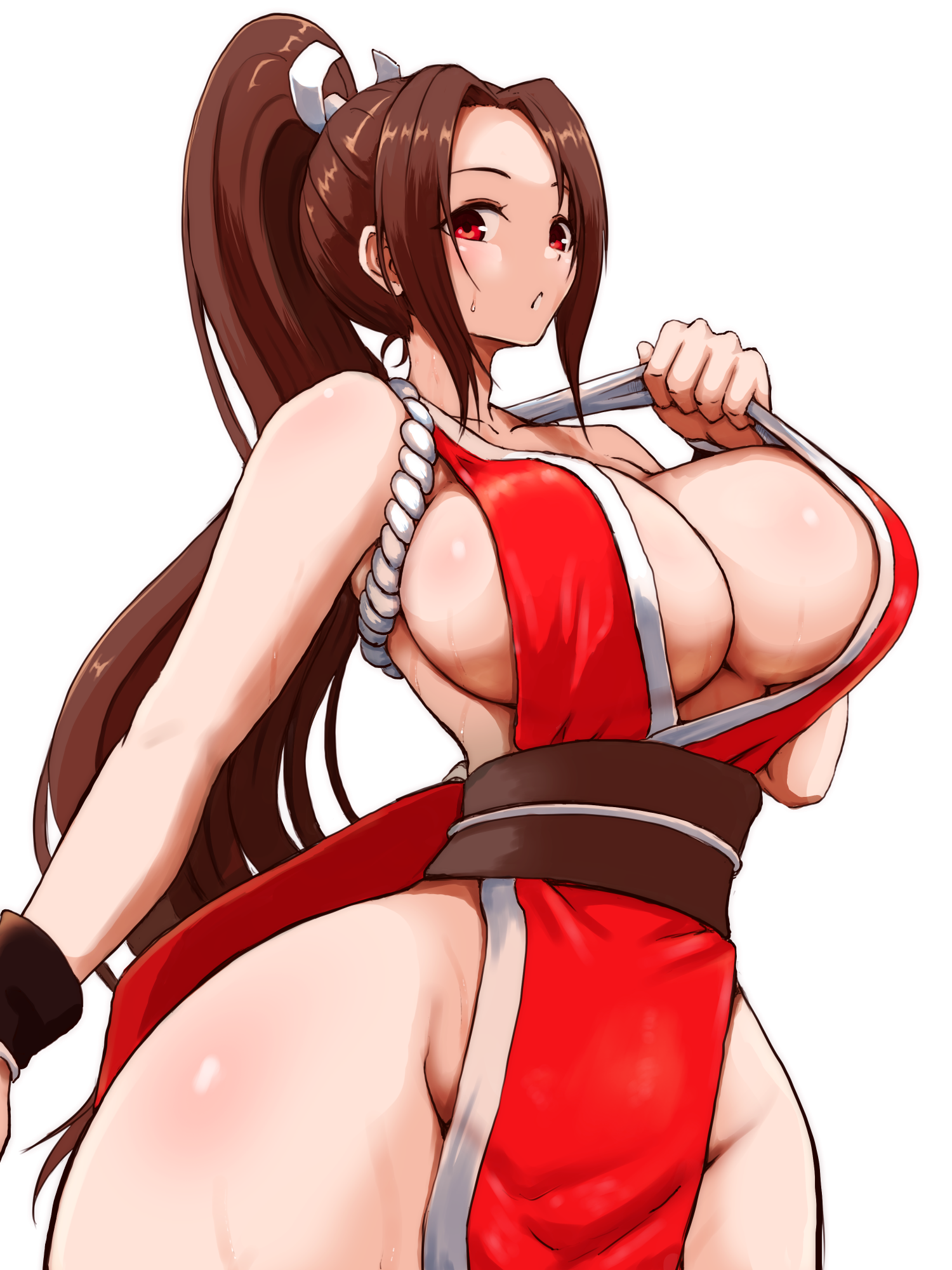 shiranui mai, fatal fury, 1girl, breasts, huge breasts, long hair, solo
