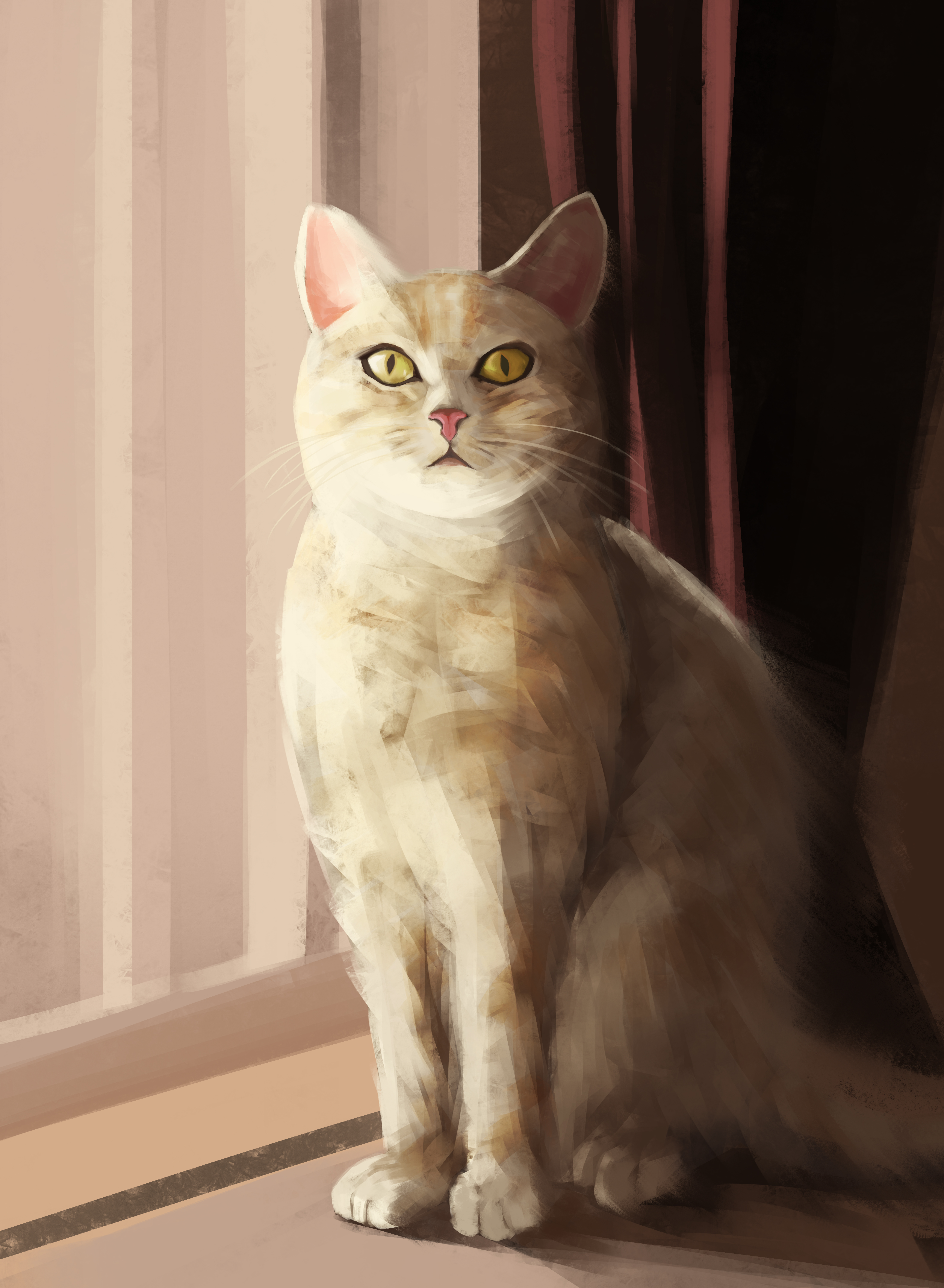 qingli ye, original, absurdres, highres, animal, animal focus, cat, indoors, looking at viewer, no humans, sitting, solo, yellow eyes