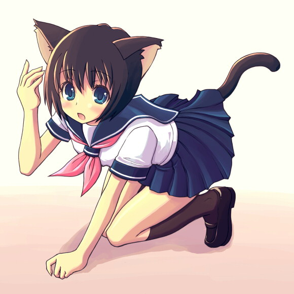 kimarin, animal ears, cat ears, cat tail, pleated skirt, school uniform, serafuku, skirt, socks, solo, tail