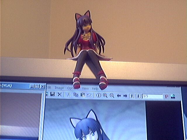 hazuki (tsukuyomi), tsukuyomi moonphase, photo (medium), 00s, animal ears, cat ears, figure