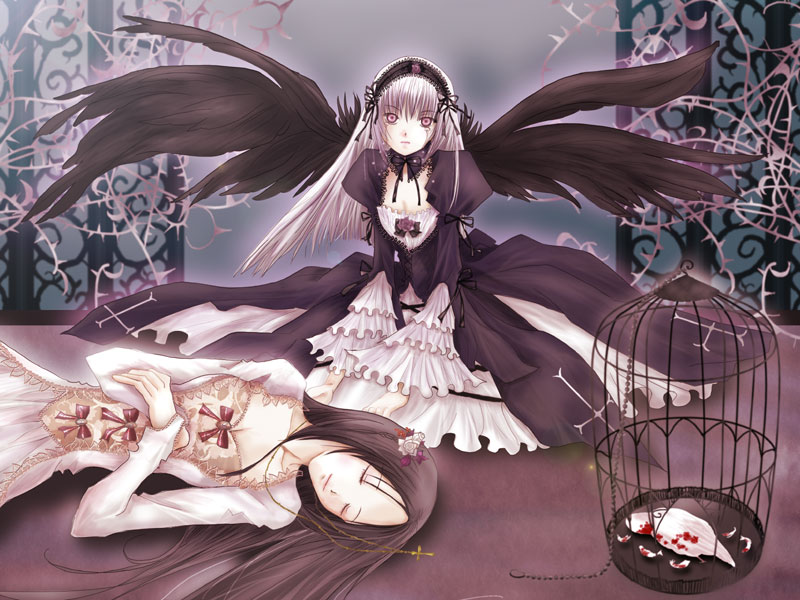 kakizaki megu, suigintou, rozen maiden, silver hair, 00s, 2girls, bird, birdcage, black hair, black wings, blood, bow, cage, chain, closed eyes, cross, crying, death, dress, feathers, flower, frills, gothic lolita, hairband, light smile, lolita fashion, lolita hairband, long hair, looking at viewer, multiple girls, pale skin, pink eyes, ribbon, rose, smile, tears, thorns, wings
