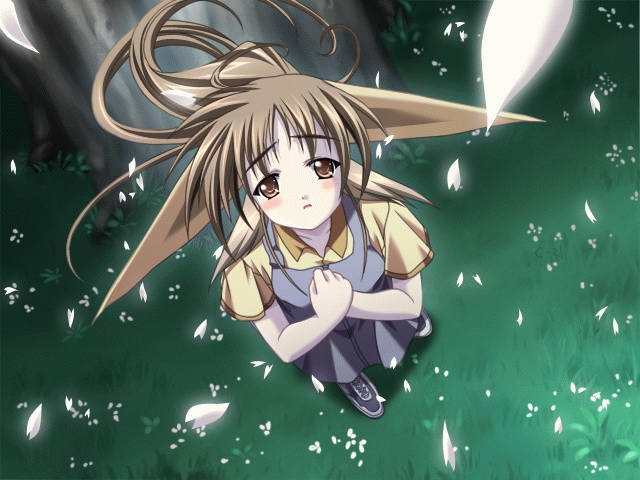 iwasaki kouji, choko, choko (happy breeding), mia, happy breeding, majipuri, game cg, 1girl, blush, bow, brown eyes, brown hair, female focus, field, from above, hair bow, looking up, own hands clasped, own hands together, petals, solo, tree, under tree