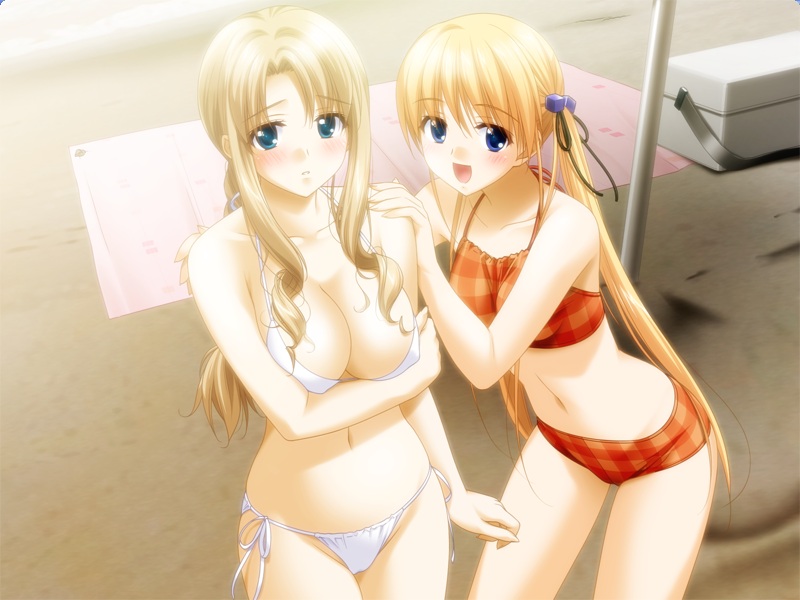 kani biimu, mukai mana, mukai yumiko, nami no manimani, game cg, 2girls, age difference, beach, bikini, blonde hair, blue eyes, blush, breasts, brown hair, checkered bikini, checkered clothes, cleavage, cube hair ornament, hair ornament, large breasts, long hair, mature female, mother and daughter, multiple girls, plaid bikini, plaid clothes, side-tie bikini bottom, swimsuit, twintails