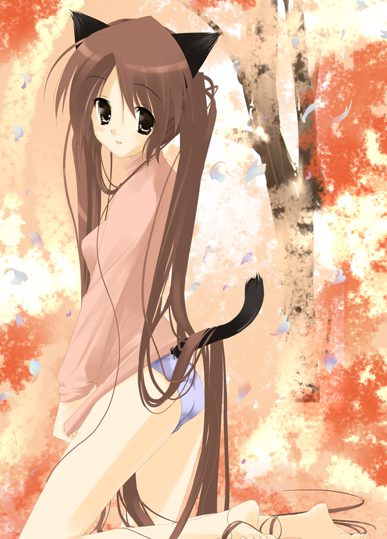 arikawa satoru, animal ears, barefoot, brown hair, cat ears, cat tail, kneeling, long hair, panties, shirt, shirt tug, solo, tail, underwear, very long hair, white panties