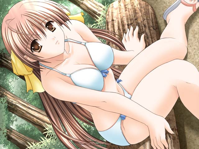 chiba chinatsu, hata aine, cherry boy ni kubittake, game cg, 1girl, ahoge, bikini, breasts, brown eyes, brown hair, cleavage, dutch angle, female focus, flip-flops, hair ribbon, in tree, large breasts, log, long hair, ribbon, sandals, sitting, sitting in tree, solo, swimsuit, tree, white bikini