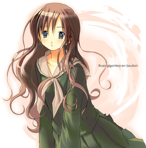 toudou shimako, maria-sama ga miteru, lowres, 00s, 1girl, blue eyes, brown hair, female focus, green shirt, green skirt, long sleeves, looking at viewer, pleated skirt, sailor collar, school uniform, serafuku, shirt, simple background, skirt, solo