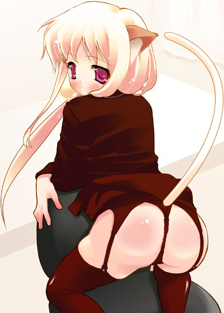 m ecchi kei, 1girl, animal ears, ass, cat ears, female focus, garter belt, lingerie, panties, solo, thighhighs, thong, underwear
