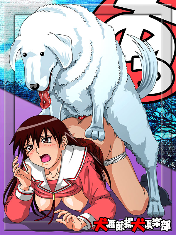 sakaki (azumanga daioh), tadakichi-san, azumanga daiou, 1girl, all fours, animal, animal penis, bestiality, black hair, blush, breasts, brown eyes, clothes lift, dog, dog penis, doggystyle, female orgasm, hanging breasts, kneeling, large breasts, nipples, orgasm, panties, panty pull, penis, pleated skirt, saliva, school uniform, serafuku, sex, sex from behind, shirt lift, shoes, skirt, socks, top-down bottom-up, underwear, vaginal, white panties