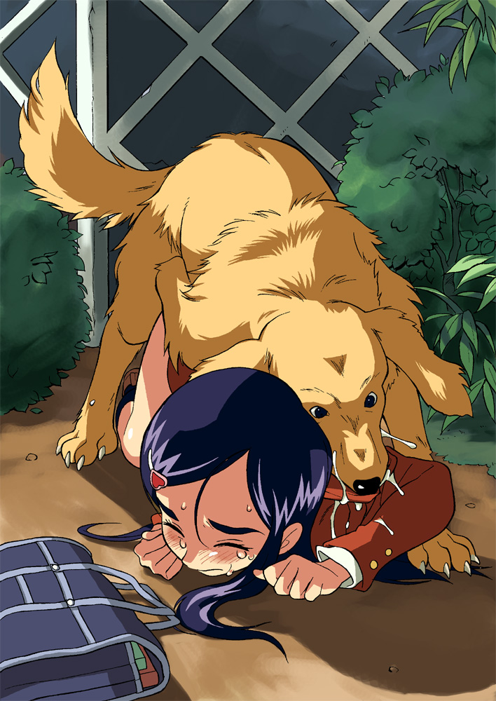 cirima, volvox, chutaro, yukishiro honoka, futari wa precure, precure, 00s, 1girl, bag, bestiality, blazer, blue hair, blush, closed eyes, clothed sex, dog, doggystyle, golden retriever, hair ornament, hairclip, heart, jacket, kneeling, long hair, on ground, outdoors, parted bangs, plant, public indecency, rape, saliva, school bag, school uniform, sex, sex from behind, sweat, tears, top-down bottom-up, vaginal