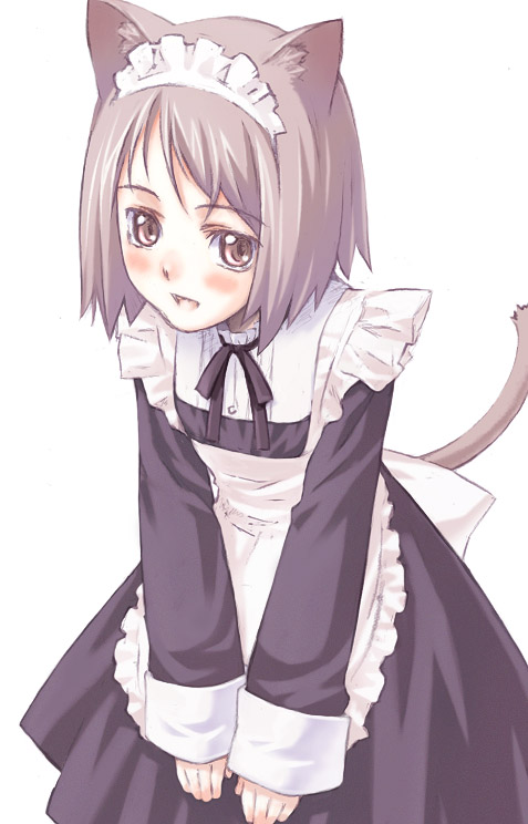 nyaou, original, tagme, animal ears, cat ears, maid, solo