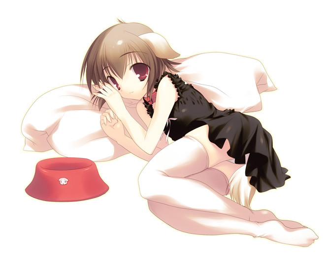 jo (overture), character request, 1girl, animal ears, bowl, brown hair, collar, dog ears, dog tail, dress, female focus, lying, on side, panties, pet bowl, pillow, red eyes, ribbon, short hair, solo, tail, thighhighs, underwear, white panties, white thighhighs