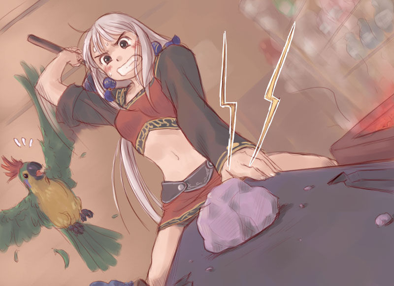 ragnarok online, silver hair, ^^^, bird, blush, brown eyes, hammer, long hair, midriff, miniskirt, navel, parrot, rock, skirt, solo