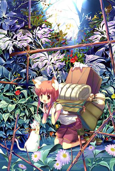 hanpen, original, flower request, 1girl, animal ears, bag, carrying, cat ears, female focus, flower, kneeling, looking at viewer, nature, outdoors, scenery, smile, solo