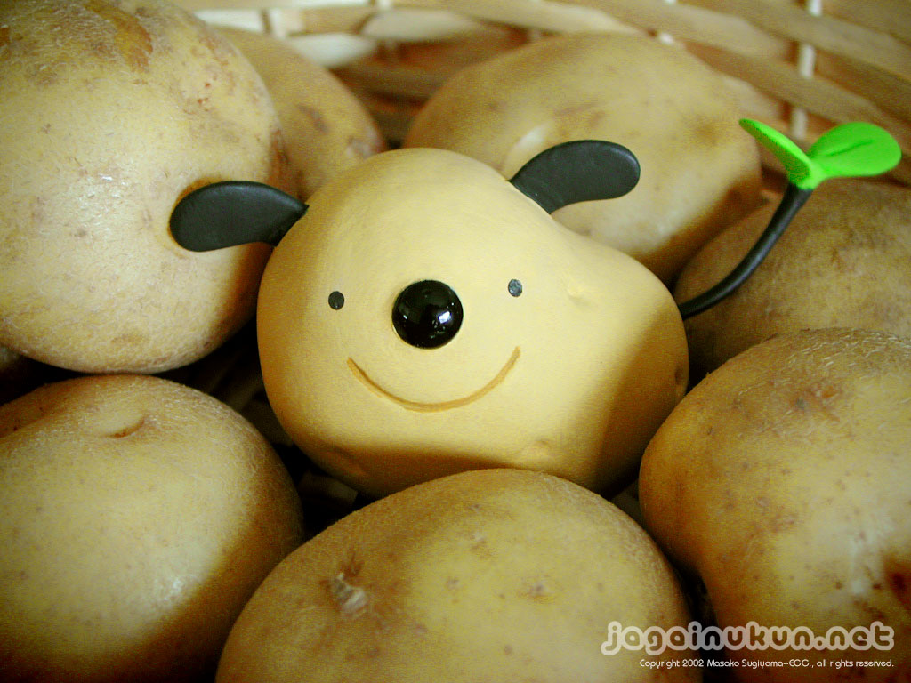 dogtato, photo (medium), tagme, figure, no humans, potato, watermark, web address