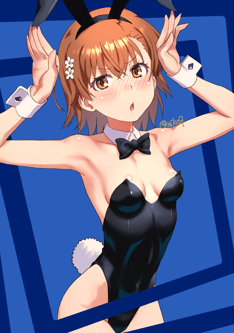 raika9, misaka mikoto, toaru majutsu no index, commentary request, 1girl, animal ears, arms up, bare shoulders, black bow, black bowtie, black hairband, black leotard, blue background, blush, bow, bowtie, breasts, brown eyes, brown hair, collar, detached collar, fake animal ears, flower, hair between eyes, hair flower, hair ornament, hairband, leotard, nose blush, parted lips, playboy bunny, rabbit ears, rabbit tail, small breasts, solo, strapless, strapless leotard, tail, twitter username, white collar, white flower, wing collar, wrist cuffs