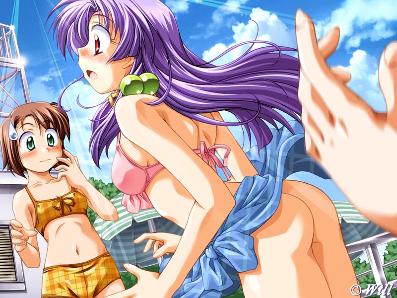 takeya masami, hinomiya natsuha, shizuna (torakapu!), torakapu!, game cg, 2girls, aqua eyes, ass, bikini, blush, bottomless, brown hair, cloud, day, dutch angle, flat chest, hair bobbles, hair ornament, long hair, multiple girls, navel, no panties, open mouth, outdoors, pink eyes, plaid bikini, plaid clothes, plaid sarong, pool, public indecency, purple hair, sarong, short hair, sky, standing, surprised, surprised arms, sweatdrop, swimsuit, umbrella