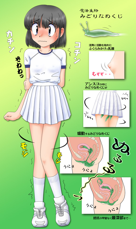 pisipisi, white footwear, translated, 1girl, animal, animal insertion, arms behind back, bad anatomy, bestiality, black eyes, black hair, bladder, blush, breasts, covered erect nipples, creature insertion, creature inside, cross-section, facing viewer, fallopian tubes, female focus, full body, gradient background, green background, miniskirt, nipples, no panties, object insertion, ovaries, pleated skirt, poorly drawn, rectum, see-through clothes, shirt, short hair, simple background, skirt, slug, small areolae, small breasts, small nipples, socks, solo, sweatdrop, t-shirt, text focus, uterus, vaginal, vaginal object insertion, white skirt, white socks, x-ray