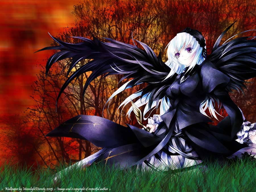 suigintou, rozen maiden, 00s, 1girl, female focus, goth fashion, purple eyes, solo, sword, weapon, white hair, wings