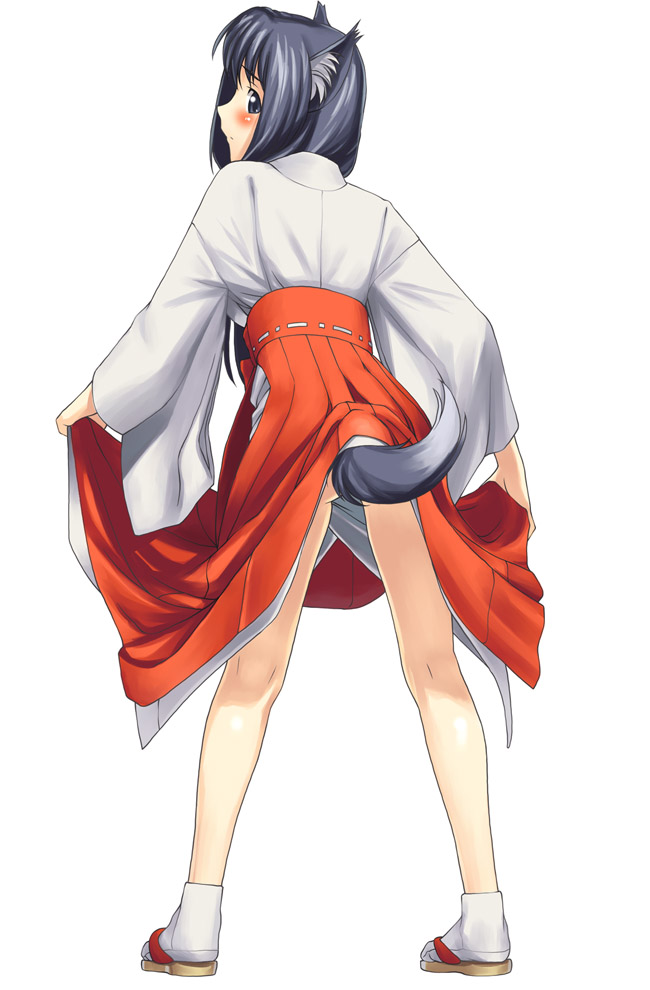 tanaka shoutarou, 1girl, animal ears, clothes lift, dog ears, dog tail, female focus, full body, hakama, hakama lift, hakama skirt, japanese clothes, lifting own clothes, miko, new year, red hakama, sandals, simple background, skirt, skirt lift, solo, standing, tabi, tail, white background, zouri