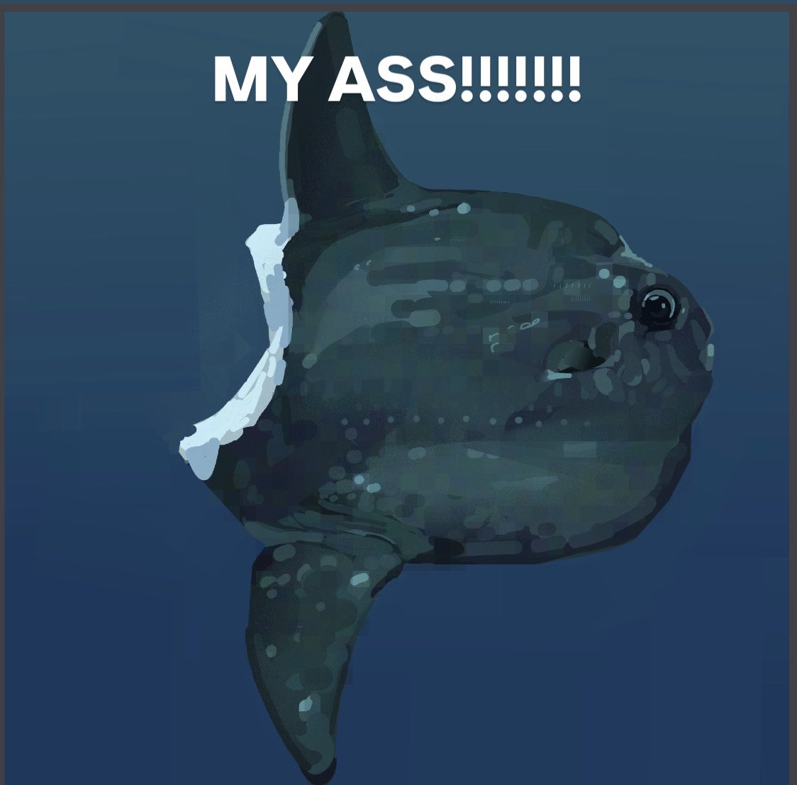 junbuug, original, commentary, english commentary, animal focus, bite mark, blue background, caption, english text, fish, injury, ocean sunfish, painterly, simple background