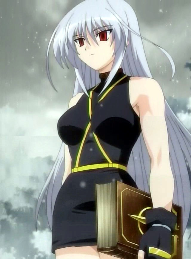 reinforce, tome of the night sky, lyrical nanoha, mahou shoujo lyrical nanoha, mahou shoujo lyrical nanoha a's, anime screenshot, 00s, 1girl, bare shoulders, book, female focus, gloves, long hair, magical girl, miniskirt, red eyes, skirt, snow, snowing, solo, white hair