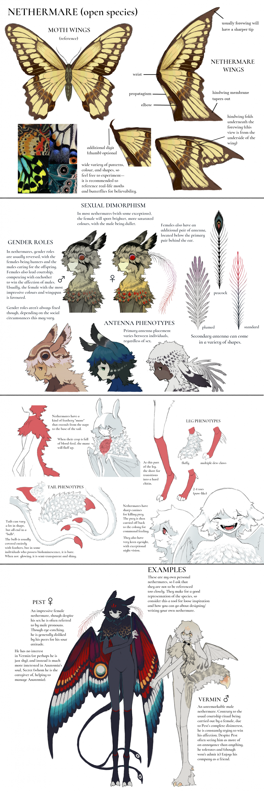 jejejunum, original, absurdres, highres, anatomy, animal ears, animal feet, antennae, arthropod boy, arthropod girl, blue hair, blue wings, body fur, brown fur, brown hair, brown wings, bug, butterfly, butterfly wings, chain, chain leash, closed eyes, collar, insect, insect girl, insect wings, leash, mane, mars symbol, monster boy, monster girl, moth, moth boy, moth girl, moth wings, multicolored wings, multiple boys, multiple girls, multiple others, open mouth, orange wings, red eyes, red wings, reference sheet, simple background, smile, standing, tail, teeth, tongue, venus symbol, white background, white hair, wings, yellow wings