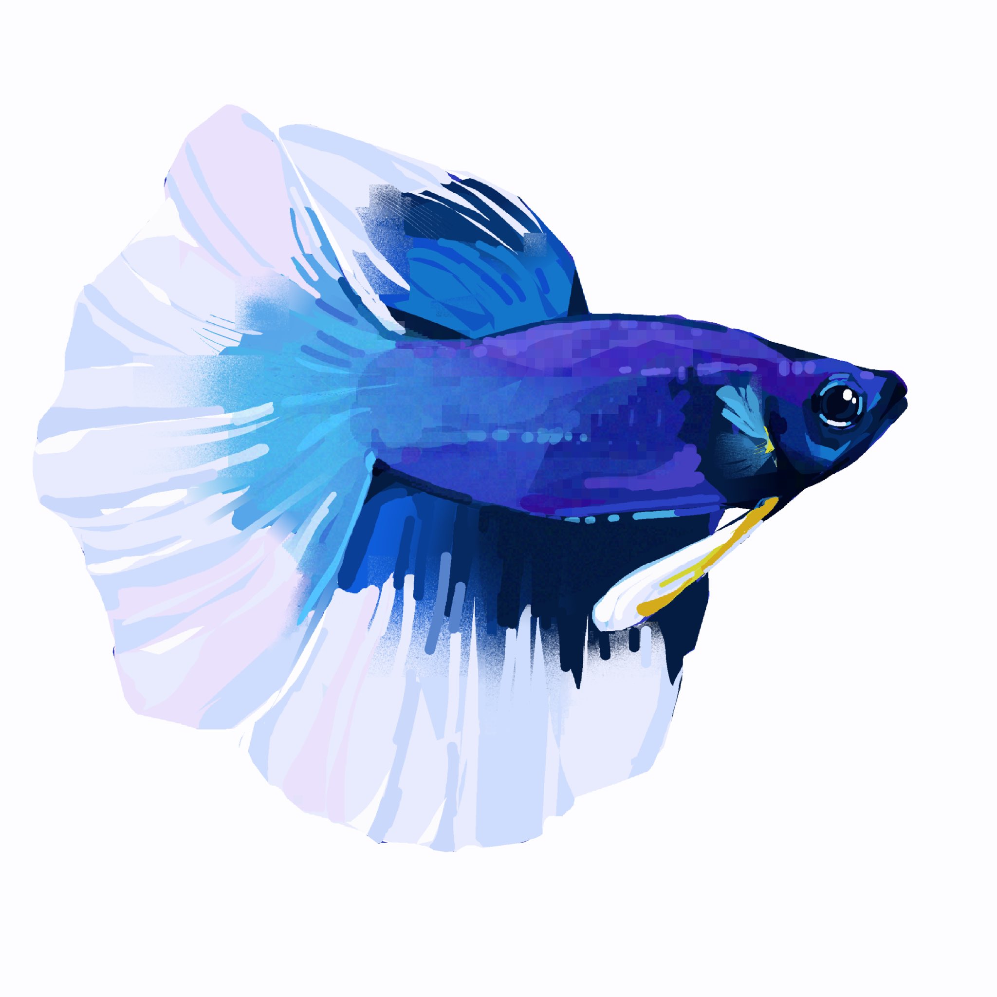 junbuug, original, highres, animal focus, fish, no humans, painterly, siamese fighting fish, simple background, still life, white background