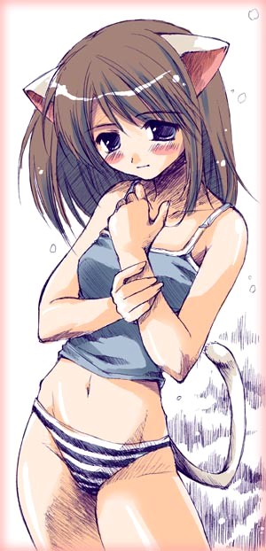 ryouka (suzuya), original, duplicate, 1girl, animal ears, black panties, blush, brown eyes, brown hair, camisole, cat ears, cat tail, closed mouth, dot nose, female focus, grey camisole, lingerie, midriff, navel, panties, solo, standing, striped clothes, striped panties, tail, underwear