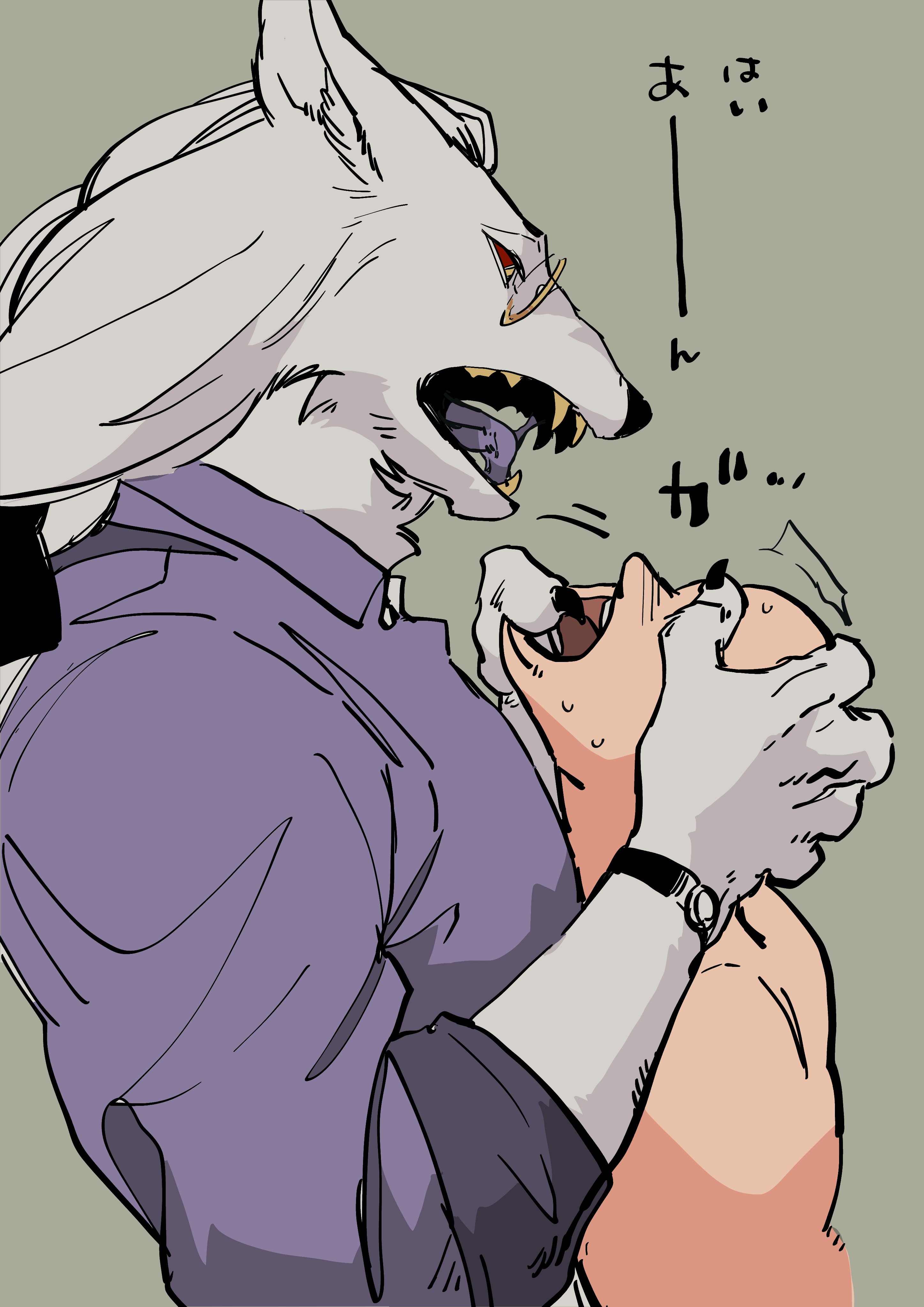 bakushi (smys2017), madk, absurdres, commentary request, highres, translation request, 1boy, 1other, body fur, claws, colored sclera, colored tongue, faceless, finger in another's mouth, green background, grey fur, grey hair, long hair, looking at another, male focus, monocle, open mouth, purple shirt, purple tongue, red sclera, shirt, simple background, upper body, wolf boy, yellow eyes