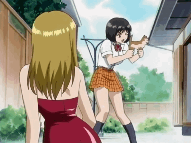 mizunosaki sakura, onohara asami, oku-sama wa joshi kousei, animated, animated gif, anime screenshot, 00s, 2girls, animal, black hair, blonde hair, bow, cat, day, dress, gun, kneehighs, legs, long hair, multiple girls, one eye closed, outdoors, plaid clothes, plaid skirt, school uniform, serafuku, short hair, skirt, socks, unconventional gun, weapon, wink