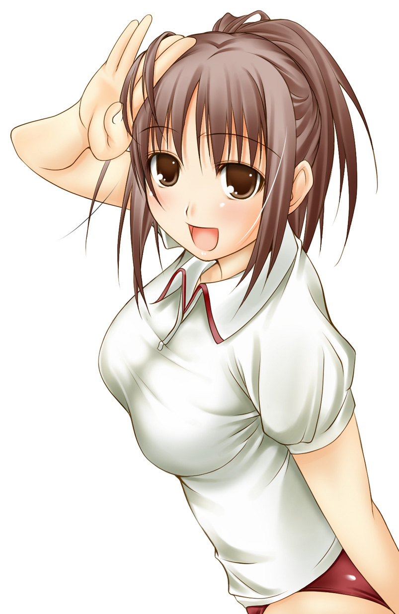 ribucci, sakino asuka, kimi kiss, highres, 1girl, brown eyes, brown hair, buruma, female focus, gym uniform, open mouth, shirt, smile, solo, taut clothes, taut shirt