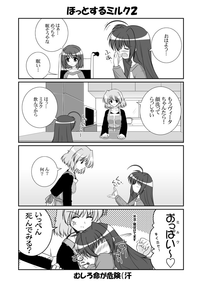 mikage takashi, shamal, vita (nanoha), yagami hayate, lyrical nanoha, mahou shoujo lyrical nanoha, mahou shoujo lyrical nanoha a's, translated, 00s, 3girls, 4koma, comic, greyscale, knife, monochrome, multiple girls, wheelchair