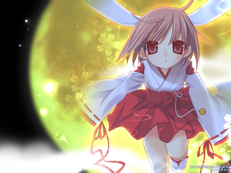 hinayuki usa, 1girl, animal ears, female focus, full moon, hakama, hakama skirt, japanese clothes, miko, moon, rabbit ears, red eyes, red hakama, skirt, solo
