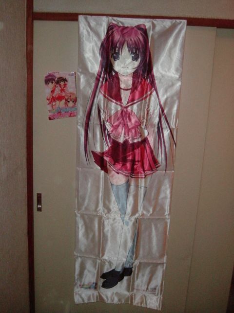 kousaka tamaki, to heart (series), to heart 2, photo (medium), 00s, 1girl, black shoes, dakimakura (medium), dakimakura (object), female focus, pillow, shoes, solo
