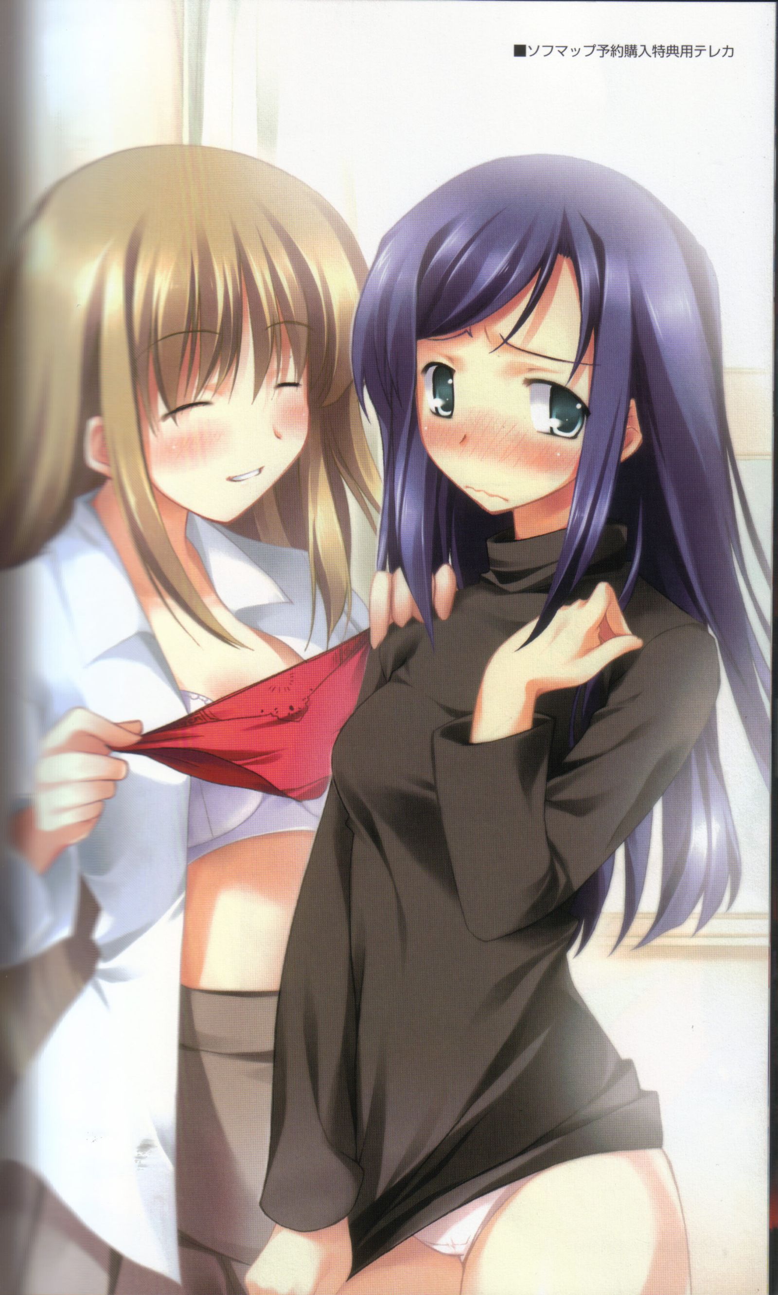 fujino shizuru, kuga natsuki, circus (studio), my-hime, unmei no keitouju, absurdres, highres, official art, 00s, 2girls, blue hair, blush, bra, brown hair, closed eyes, covering crotch, covering privates, dress shirt, embarrassed, green eyes, holding, holding panties, holding underwear, holding unworn clothes, lingerie, long hair, long sleeves, multiple girls, no pants, open clothes, open shirt, panties, red panties, shirt, shirt tug, skirt, standing, thigh gap, thighs, trythison, underwear, white panties, yuri