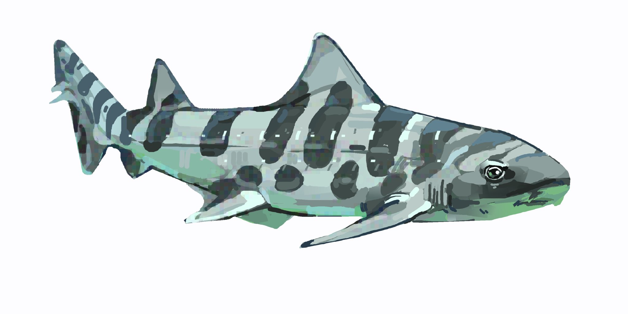junbuug, original, commentary, english commentary, highres, animal focus, animal print, leopard print, leopard shark, no humans, painterly, shark, simple background, white background