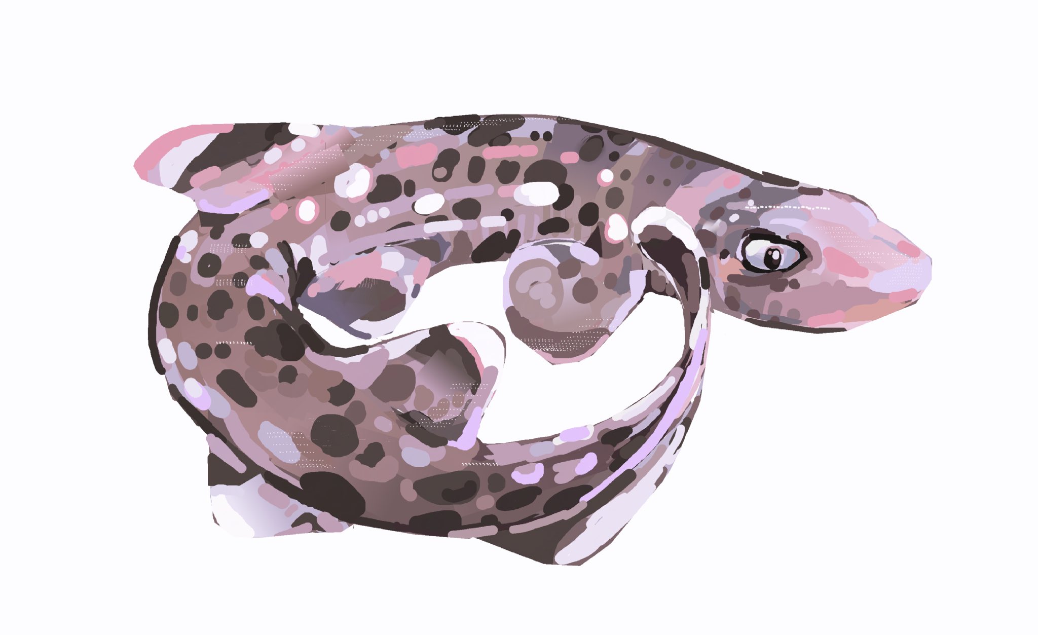 junbuug, original, commentary, english commentary, highres, animal focus, catshark, coiled, coral print, fish, no humans, painterly, shark, simple background, white background