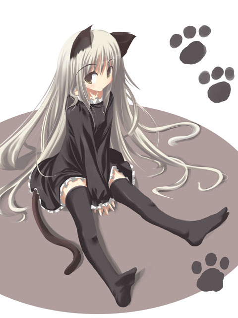 satomi (black scarecrow), original, tagme, animal ears, cat ears, cat tail, simple background, solo, tail, thighhighs, white background
