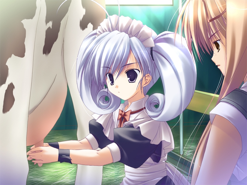 sakaki maki, natsu natsu, game cg, 2girls, animal, antenna hair, breasts, cow, female focus, hand milking, maid, multiple girls, twintails, udder